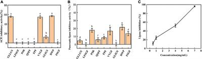 Novel angiotensin-converting enzyme and pancreatic lipase oligopeptide inhibitors from fermented rice bran